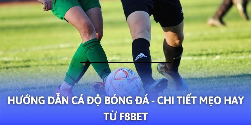 Soi kèo thẻ phạt trận Wolves gặp Manchester City Cùng nhà cái F8BET – Phân tích sâu sắc và dự đoán chính xác cho lượt đấu hấp dẫn